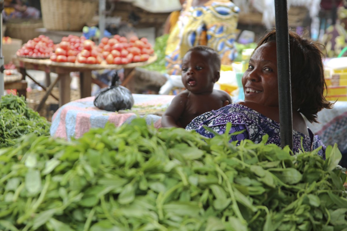 Improving the diets of young children in rural #Benin 🇧🇯 #FRESH_Initiative research identifies nutritional gaps & opportunities for increasing fruit & vegetable intake. 🔗 Read the brief: on.cgiar.org/4ay71js @IFPRI @BiovIntCIAT_eng @WorldVegCenter