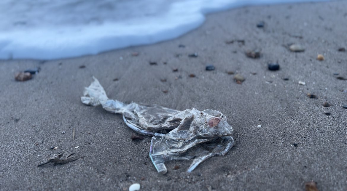 Lovely morning on Skegness Beach, but a reminder that the year’s Earth Day focusing on Planet v Plastic is essential #ReduceDemand #ReduceProduction #Reuse #Recycle #LitterPick #EarthDay2024 #EcoSchools