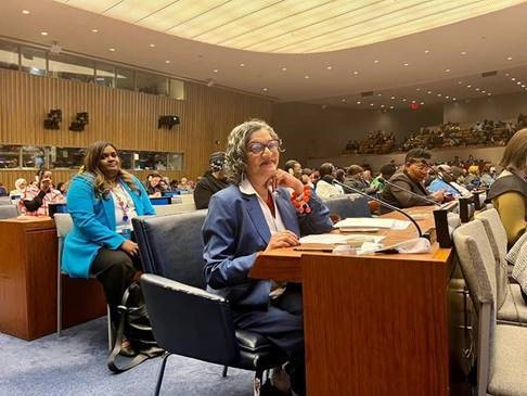 Our Executive Director Padma Raman PSM recently attended the 68th Commission on the Status of Women #CSW68 in New York, where there were opportunities to highlight best practice from Australia and our region, and learn from others, on efforts to accelerate gender equality.