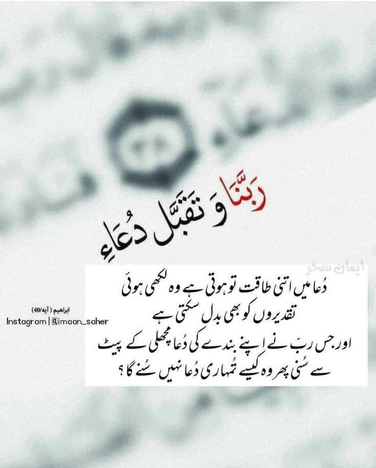 Good morning have a nice days 🔆🔆🔆🔆