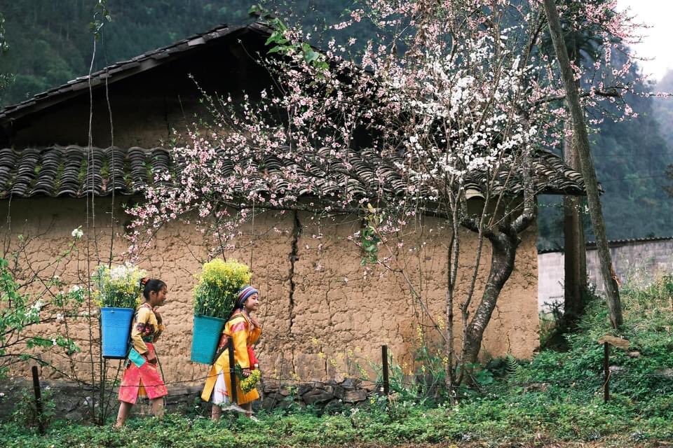 ⛰Caonguyenda💕🇻🇳 tweet media