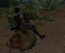 RachaelGrohl🐻| Comms on VGEN! tweet media