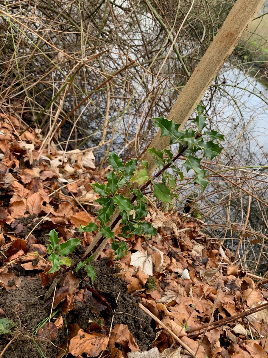 WWT Washington tweet media