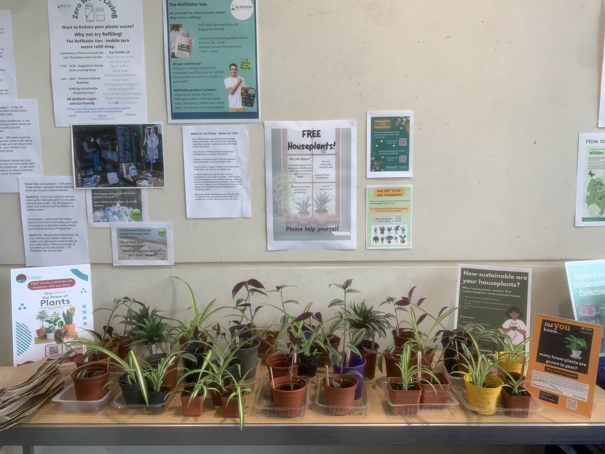 ECO HOPE 🪴 Free houseplants - available in the Library, on the second floor (Stressless area). Plants can help to improve both our mental and physical health, reduce stress and improve productivity.😊 @CCCUStudents