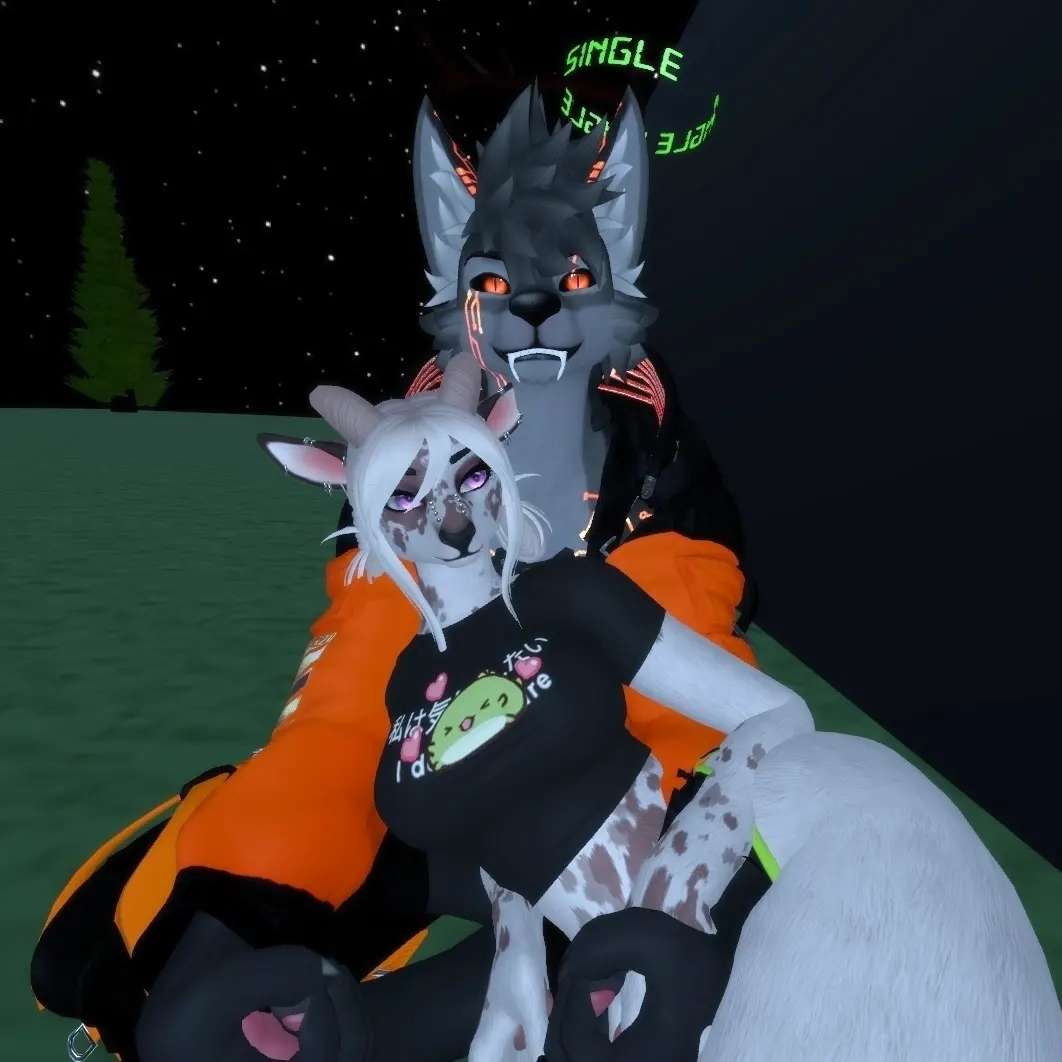 #VRChat #vrchatfurry