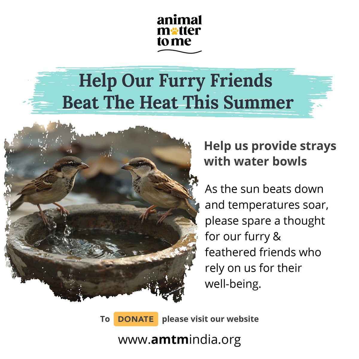 As the #summer heat intensifies, so does the need for cool hydration for our beloved #animals. AMTM is on a mission to procure 1500 durable cement #water bowls to provide relief to dogs, cats, cows, and birds in need. amtmindia.org/fundraiser/150…