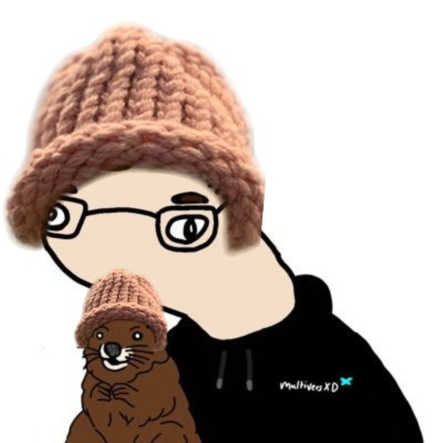 BoberWifHat $BWIF tweet media