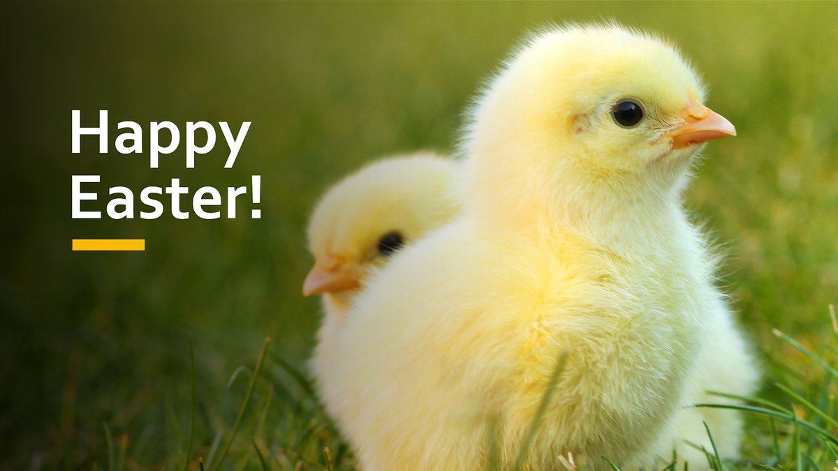 Happy Easter from all of us at Solaris Health!

Wishing you and your loved ones a wonderful Easter weekend.