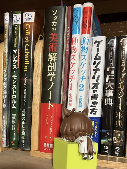 最初は丁寧にしまってたんだけど、ちょこちょこ手に取ってしまうので、開き直って本棚に自分の本を突っ込んだ。良き(ウルトラ自画自賛) 