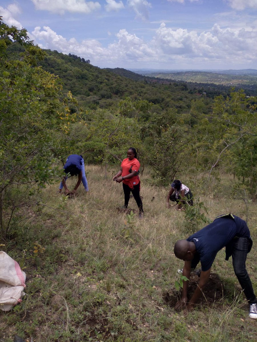 A MOMENT WITH MOTHER NATURE. It's day three of KEMSA's treeriffic exercise in collaboration with Kenya Forest Service - Kiambicho, Murang'a County. Kama kawaida our team is upbeat in their quest to plant 2,200 tree seedlings this rainy season ✅. #TimeForNature