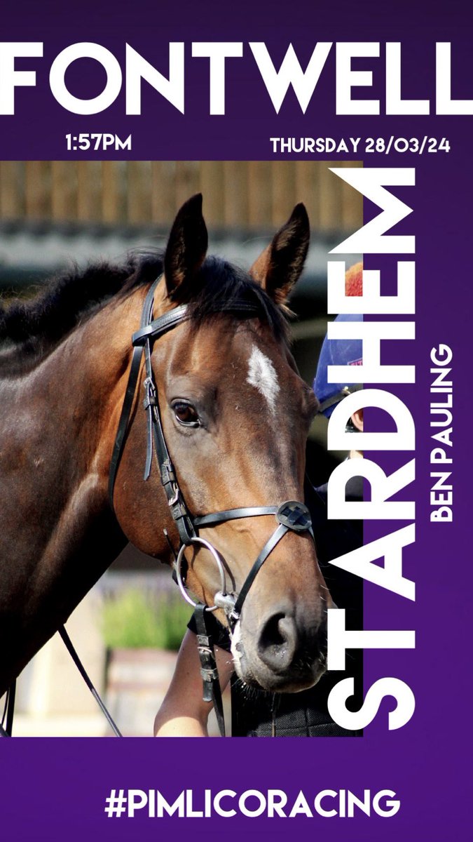 ⭐️ STARDHEM runs to @FontwellPark today for @benpauling1 with @BenJone04644251 in the saddle. Good luck to all of his owners! 🍀 💜 #PimlicoRacing