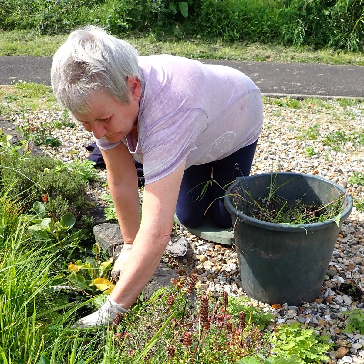 Bee Prepared! Last year #BuchylvieWildlifeGarden volunteers used @volunteering_uk #ActionEarth grant to plant new meadow with seed & bulb species to help emerging Queen bees in Mar/Apr. That hard work is yielding results now! Funded by @NatureScot #MakeSpaceForNature #community