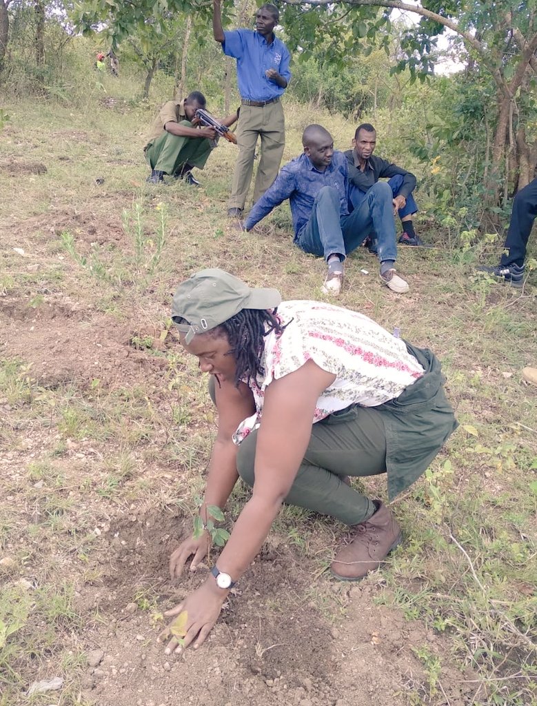 We say yes to global reforestation efforts, restoration of lost forests, repairing damaged ecosystems and mitigating climate changes. Asante sana Murang'a Community Forest Association and the local community for the progressive partnership. #TimeForNature