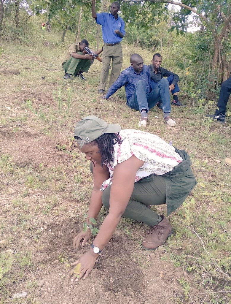 Kemsa_Kenya's tweet photo. We say yes to global reforestation efforts, restoration of lost forests, repairing damaged ecosystems and mitigating climate changes.
Asante sana Murang'a Community Forest Association and the local community for the progressive partnership.
#TimeForNature https://t.co/ppLdi8hrWa