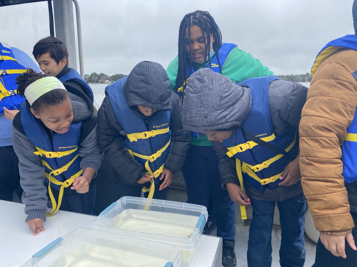 marietculver's tweet image. Observing living organisms ⁦@chesapeakebay⁩ ⁦@SeatackDream⁩ ⁦@vbschools⁩ #5thGrade 🦀🐠🐟💦 #FieldExperience