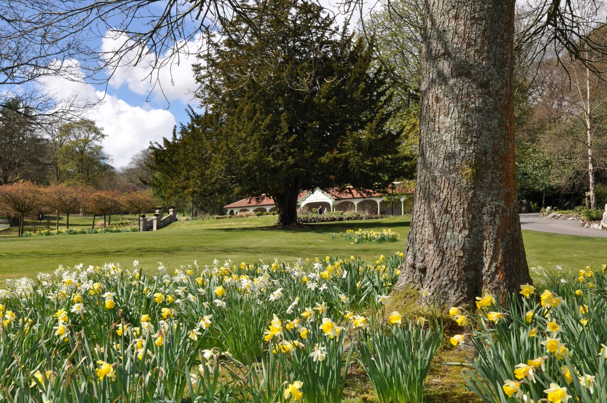 I always think Springtime sees Bedwellty Park at its best. Loads of family activities going on as well as the usual tasty offerings in the Orchid House Tearooms. Go on, treat yourself this Easter.