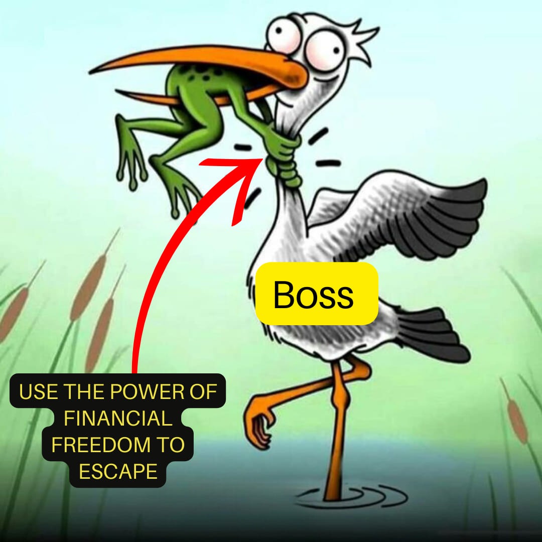 ASSURED_PLUS's tweet image. FINANCIAL FREEDOM
#assuredplus #financialfreedom #mutualfunds #healthinsurance #terminsurance #bestmutualfunds