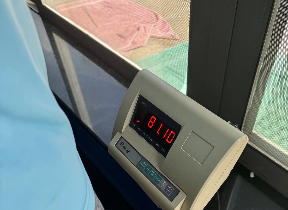 Muera_Shumba🦁 tweet media