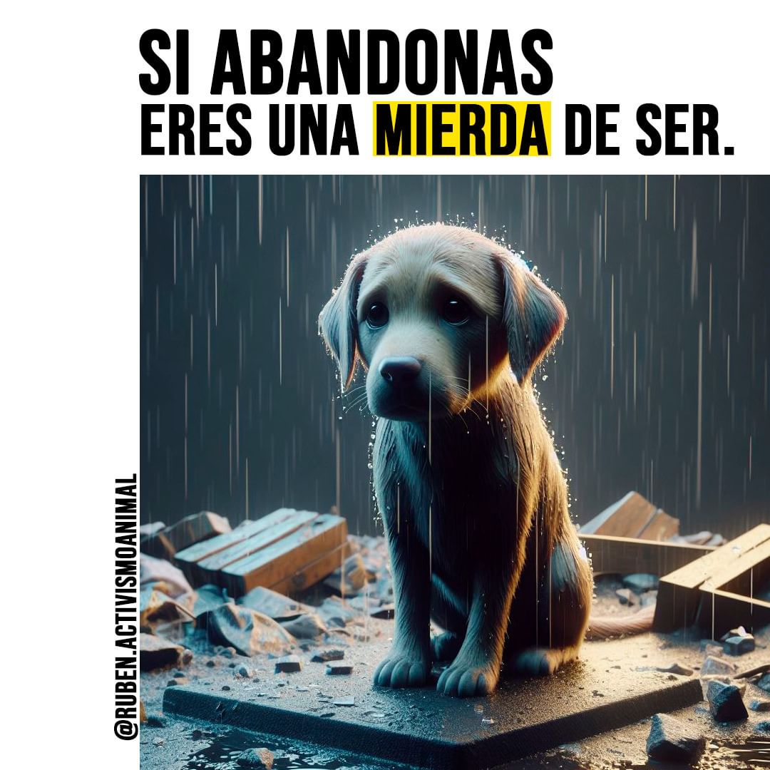 👇🏻👇🏻👇🏻👇🏻👇🏻👇🏻