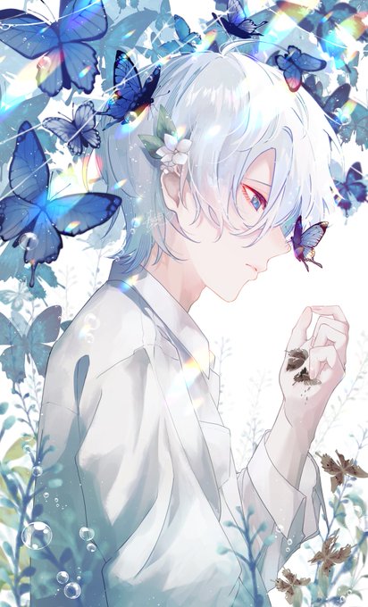 「butterfly on hand」 illustration images(Latest｜RT&Fav:50)