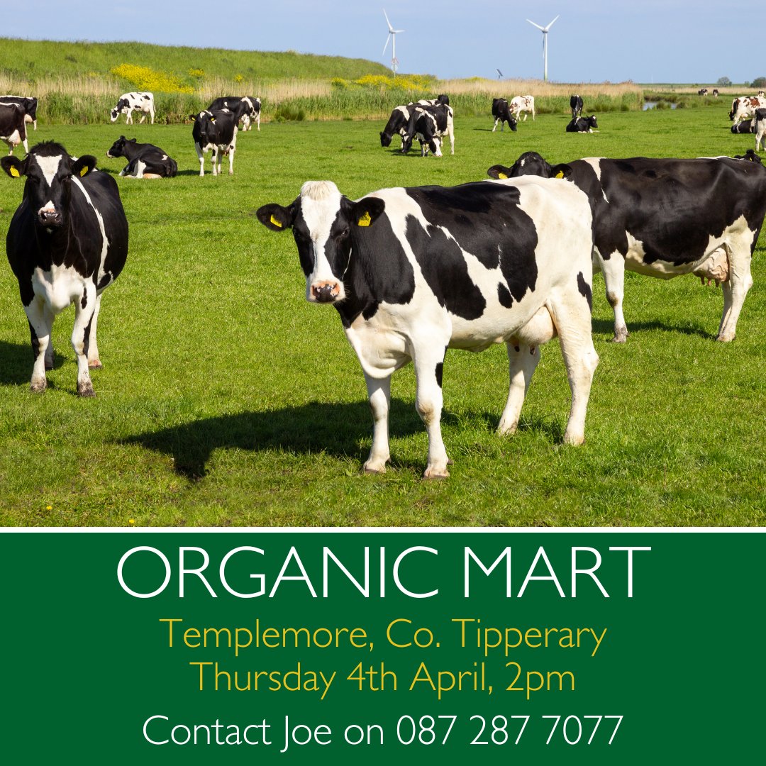 To take a look at the full list of upcoming organic marts in 2024, please visit organictrust.ie/marts #organicfarming #organic