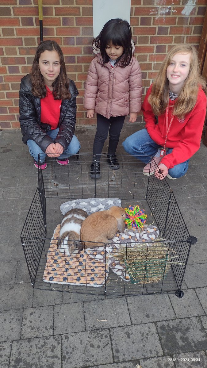 Easter bunnies arrived at Ronald Ross together with previous Year 6 leavers!