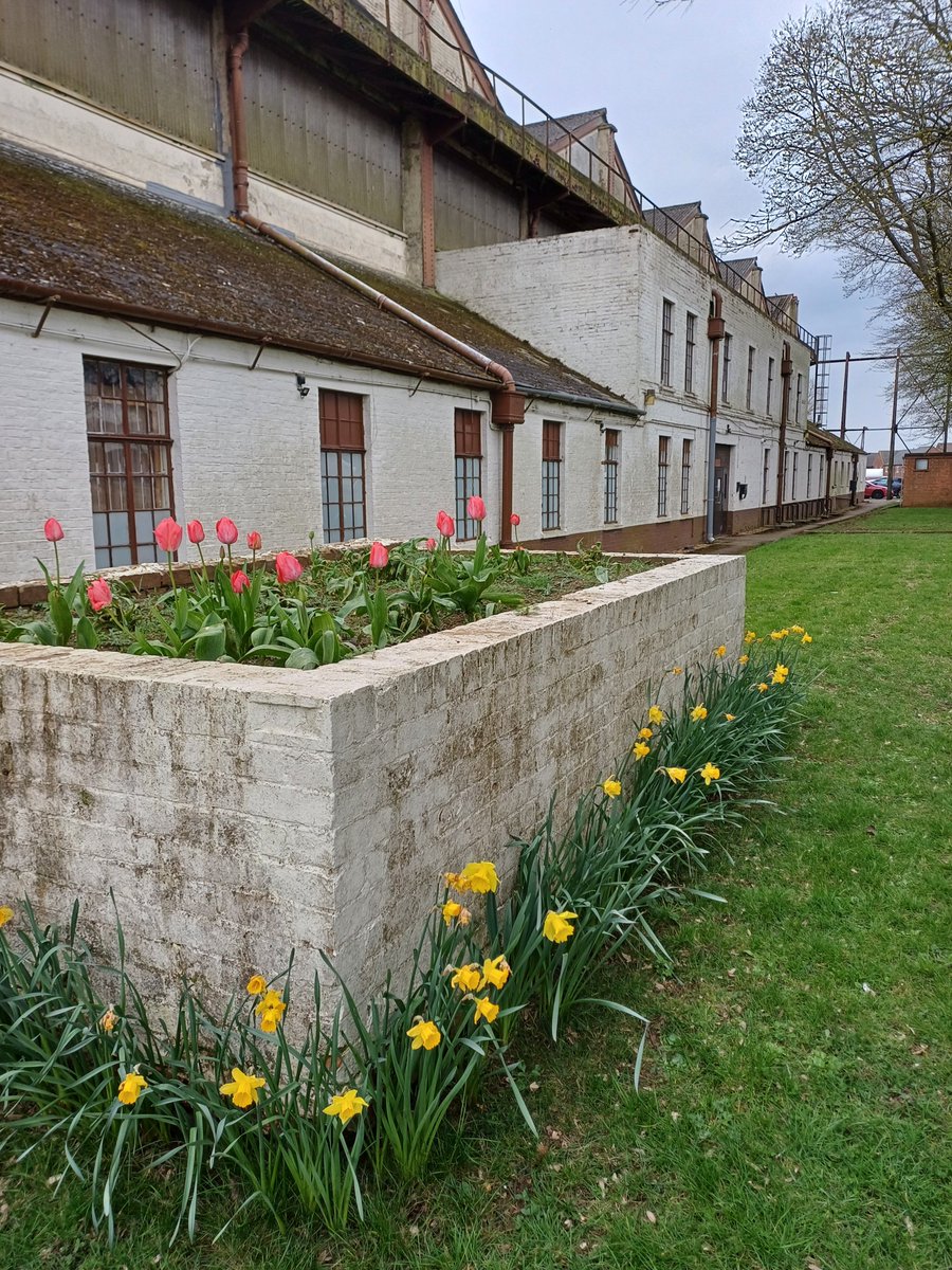 JBriggsRemovals's tweet photo. The weather might not be exactly what we had hoped for, but these wonderful spring flowers, outside our HQ, certainly brighten up the day as we make our way into work. #spring #removals #storage #housemove #businessmove #heritagemove #librarymove #museummove https://t.co/MntoYZqlf9