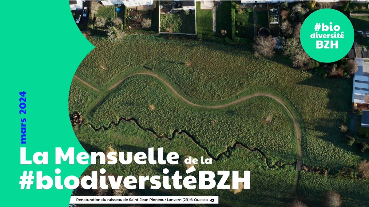 📩 La Mensuelle de la #biodiversitéBZH — Récap' de l'actu de la #biodiversité & de ses acteurs en #Bretagne : 🌿 Renaturation 🗓️ RDV financement 🐸 Lavoirs et fontaines Consulter👉mailchi.mp/biodiversite.b… Vous abonner👉biodiversite.bzh/inscription-ne… #territoires