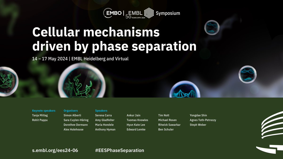 ⚡️ Last chance to register to attend #EESPhaseSeparation on site ⚡️ Scientists across diverse fields like cell biology, biophysics, biochemistry, structural biology, disease, and more unite to explore condensates in biology and disease. 🧪🔬 ➡️ s.embl.org/ees24-06 🛎️