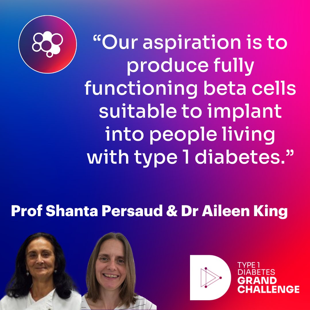 It's time to spotlight another new #Type1DiabetesGrandChallenge #research project! 🔬🌟 🧫 Prof Shanta Persaud and Dr @aileenjfking will improve ways to make insulin-making beta cells in the lab, so they act and react more like real human beta cells. 👉type1diabetesgrandchallenge.org.uk/funded-project…