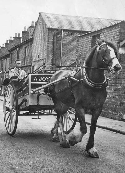 THROWBACK THURSDAY... Dave Joy takes us on a nostalgic journey through his childhood spent in his family's City Dairy in Liverpool. 🥛 northernlifemagazine.co.uk/the-city-dairy/ #DaveJoy #penswordbooks #ChildhoodMemories #Liverpool #milkround #throwbackThursday