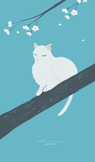 「flower white cat」 illustration images(Latest)