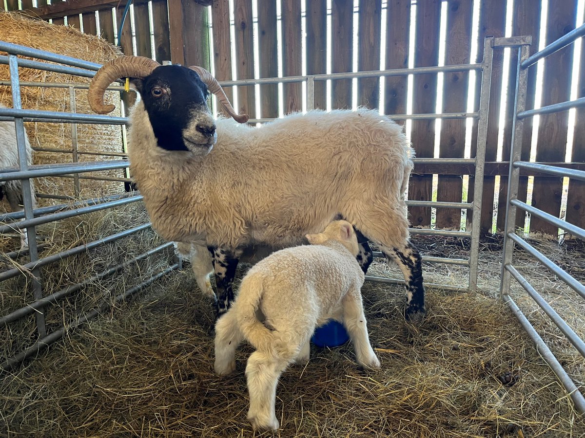 Field Farm Tours Ltd tweet media