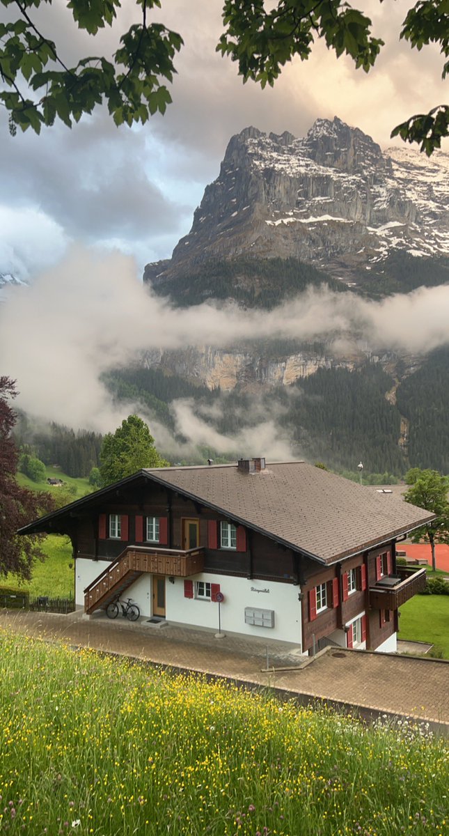 محمد البريكـــــي tweet media