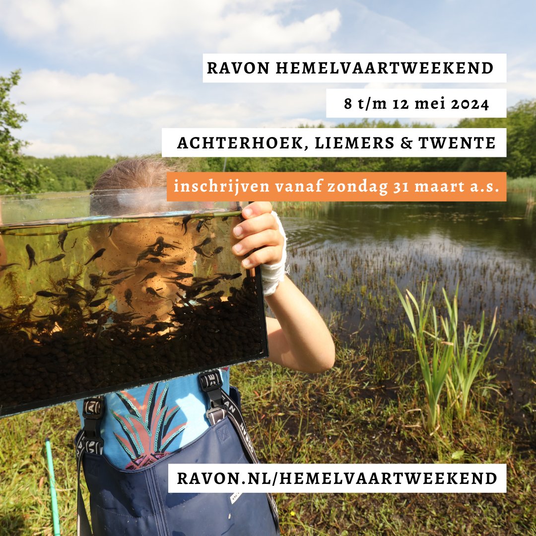 𝗥𝗔𝗩𝗢𝗡 𝗛𝗲𝗺𝗲𝗹𝘃𝗮𝗮𝗿𝘁𝘄𝗲𝗲𝗸𝗲𝗻𝗱 | 🐸🐍🦎Jaarlijks organiseert RAVON rondom Hemelvaart het 4 dagen durende reptielen en amfibieën inventarisatieweekend. Je kunt je vanaf zondag 31 maart (1e Paasdag) inschrijven via ravon.nl/hemelvaartweek…! #hemelvaart #pasen #weekend