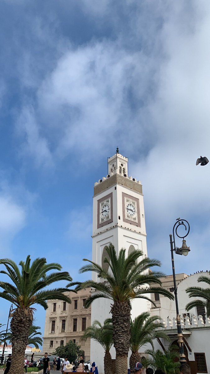 lin_ozr3's tweet image. 