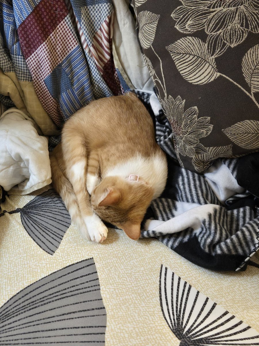 This girl stole my seat when I vacated it. Move your feet, lose your seat, I guess!