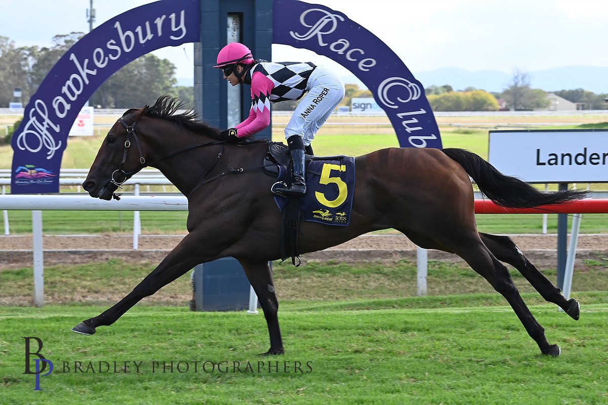 Hawkesbury Race Club tweet media