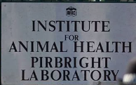 The Pirbright Institute (formerly the Institute for Animal Health). @RandPaul @RepThomasMassie 

The Pirbright Institute carries out research, diagnostics and surveillance of viruses carried predominantly by farm animals, such as African swine fever, avian and swine flu.

The
