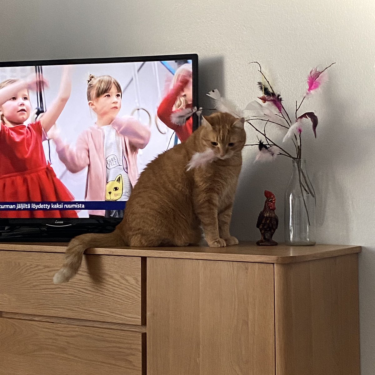 mattiselkala's tweet image. #kissapäivitys 9/2024
Hyvää pääsiäistä!