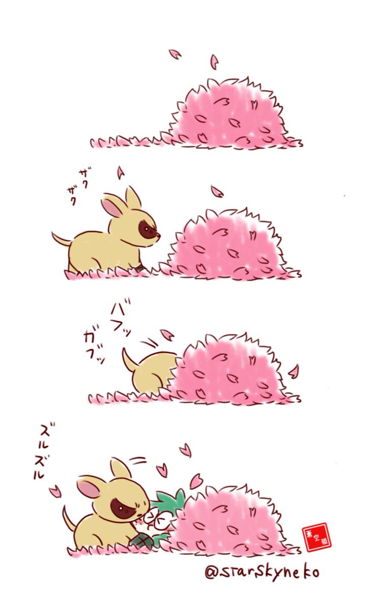 蒼空猫 tweet media