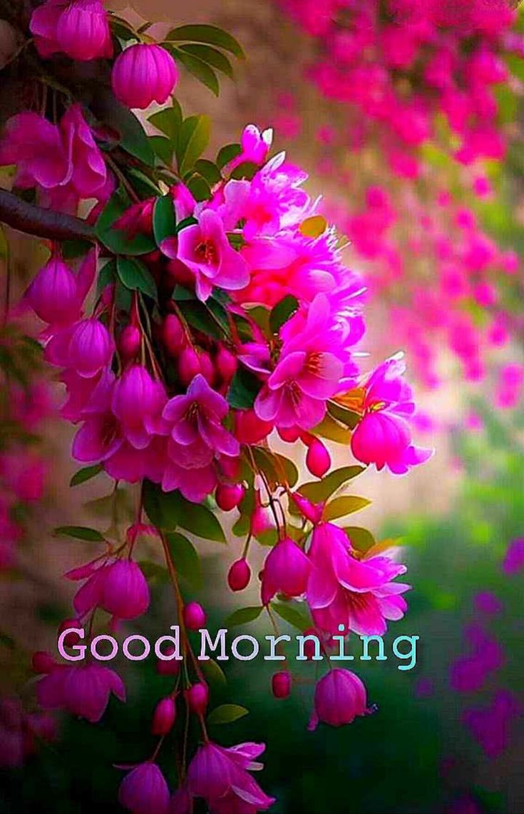 Faryad Hussain tweet media