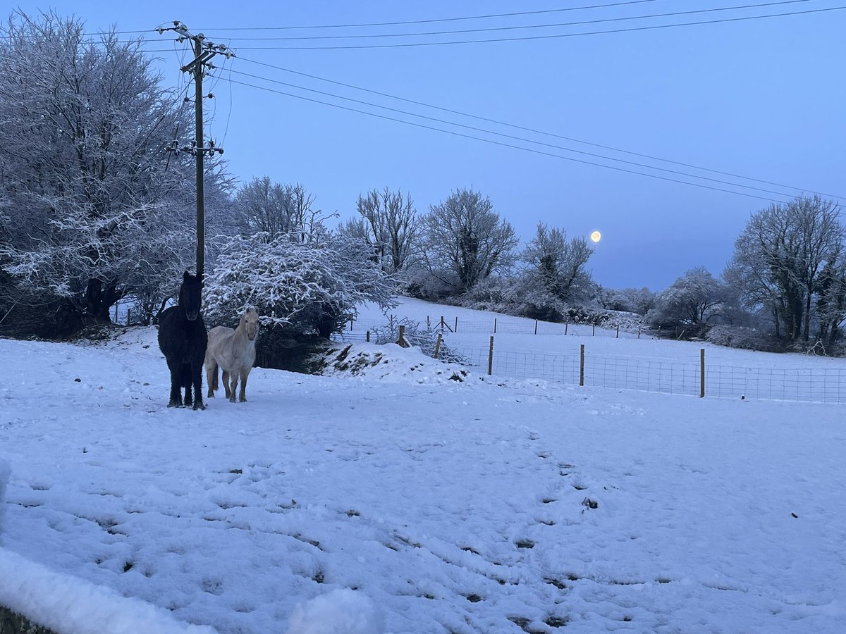 frattonwesley's tweet photo. Snowy North Devon this morning! @uksnow https://t.co/x2sH6ysdBu