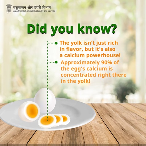 Dept_of_AHD's tweet photo. Don't let the yolk go to waste - it's packed with essential nutrients for your body's health!
#EggFacts #NutrientPowerhouse https://t.co/eN4nUIJHS4