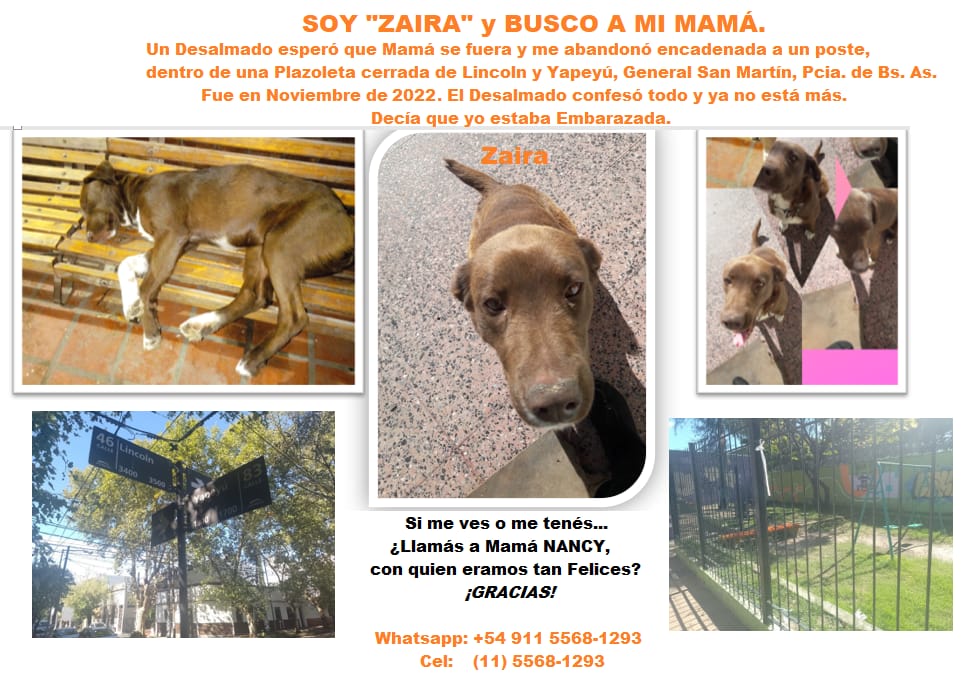 #URGENTE #Ayuda #BuenosDiasATodos Les pido por favor que me ayuden a encontrarte ZAIRA ♥️. Muchísimas Gracias de antemano !!! Te esperamos en casa !!! #Zaira