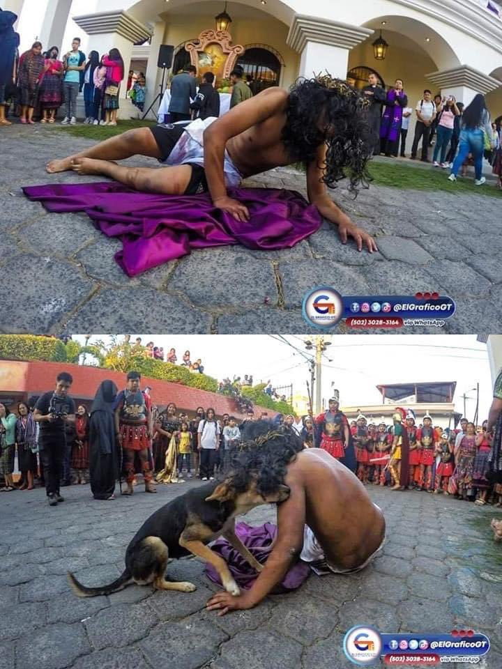 Durante la dramatización del viacrucis, en Sumpango #Sacatepéquez, el cual representa la pasión de Jesús, un perrito no logra entender porqué lo lastiman, pero quería acercarse para consolarlo y hacerle saber que no está solo. NO TODOS ENTIENDEN LO QUE ES EL AMOR AL PRÓJIMO.