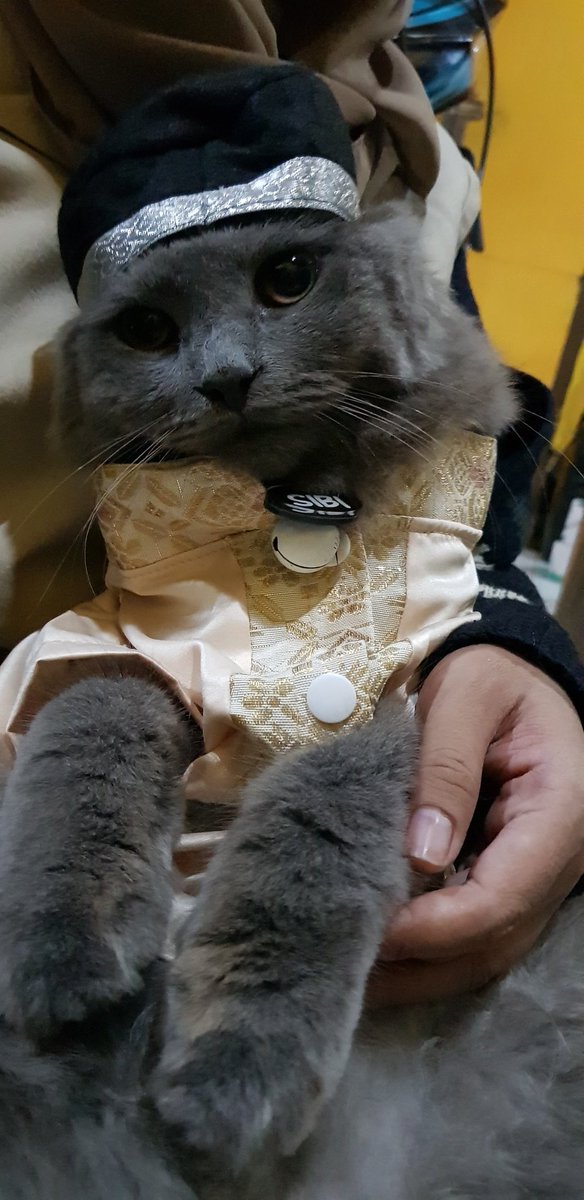 G_Orleana's tweet photo. @kochengfs Mau lamar jadi imamnya neng emma https://t.co/1hRkZAfCxM