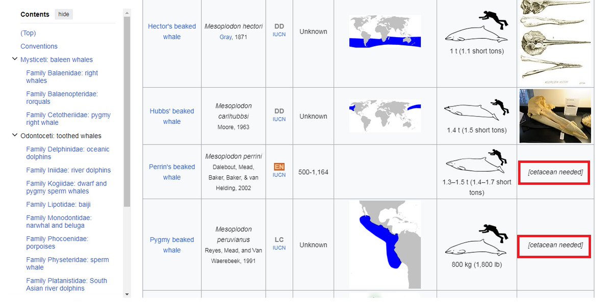 sangeethabkrish's tweet image. People, Wikipedia needs cetaceans!