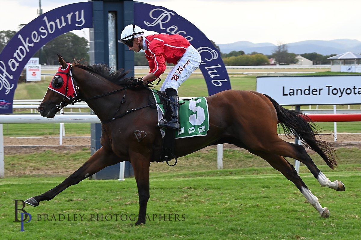 Natural Deduction takes the win in Race 7 BM 64 HCP @JohnOSheaRacing and @TomMarquand Images @Bradley_Photos