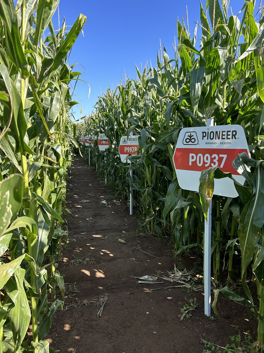 Ben Vercoe tweet media